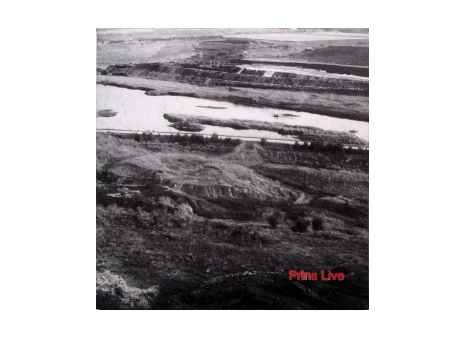 Gert-Jan Prins - Prins Live