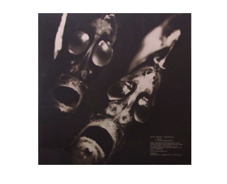 Frank Dommert - Kiefermusik