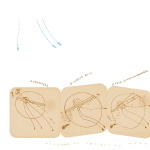 Vert - Nine Types Of Ambiguity